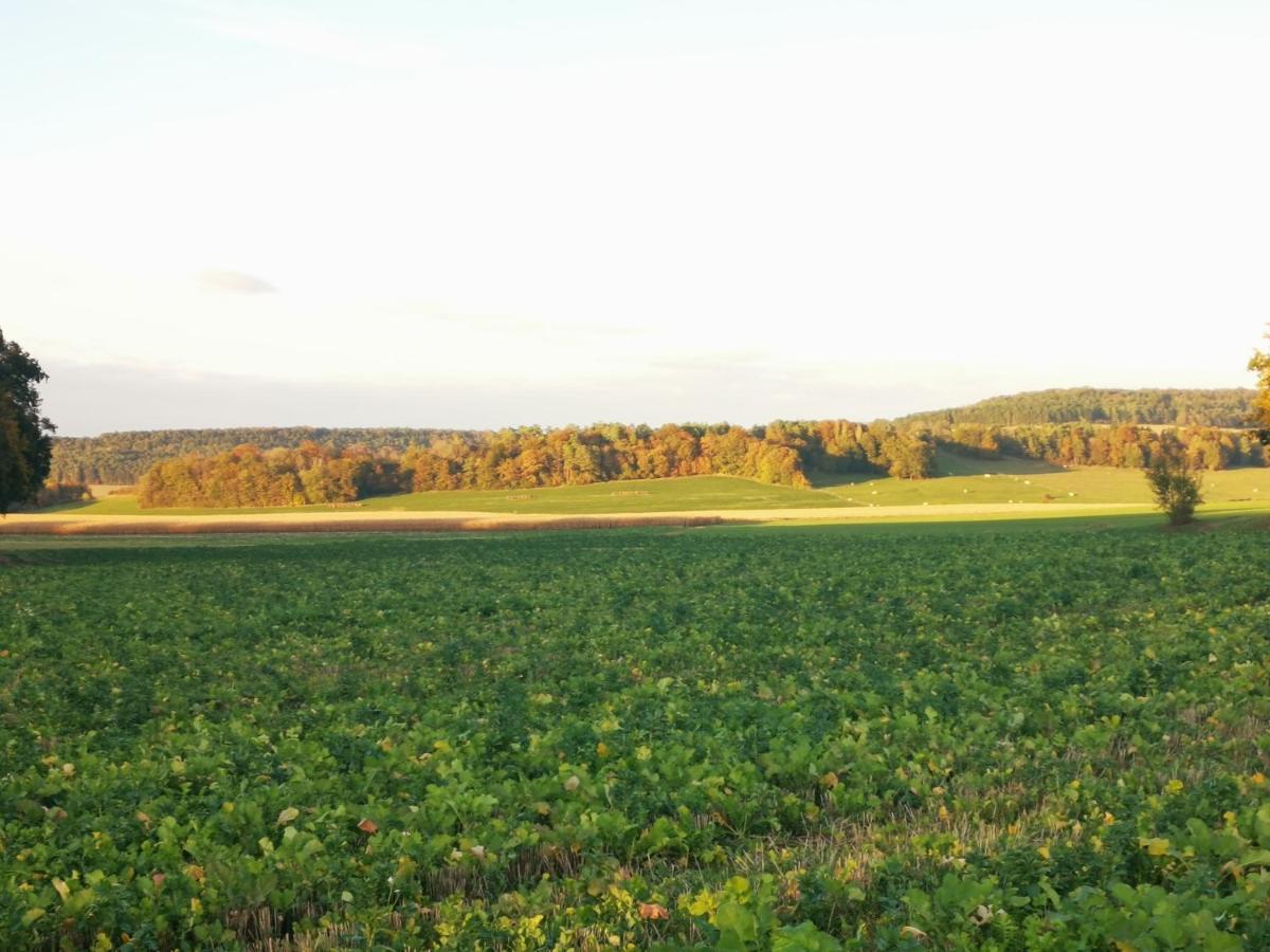 La Mirabelle Des 3 Forets Lejlighed Bricon Eksteriør billede